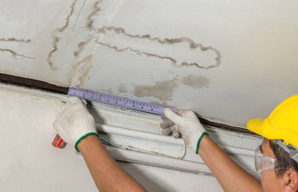 Reliable Burst Pipe Cleanup contractor in Oak Harbor, OH by Water Damage Irwin